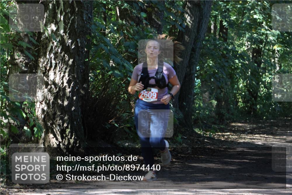 28.09.2025 - 33. Volkslauf durch das schöne Alstertal Strokosch-Dieckow http://msf.ph/oto/8974440 28.09.2025 12:44:14 Laufen 2609 meine-sportfotos.de