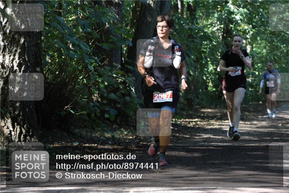 28.09.2025 - 33. Volkslauf durch das schöne Alstertal Strokosch-Dieckow http://msf.ph/oto/8974441 28.09.2025 12:44:41 Laufen 2557 meine-sportfotos.de