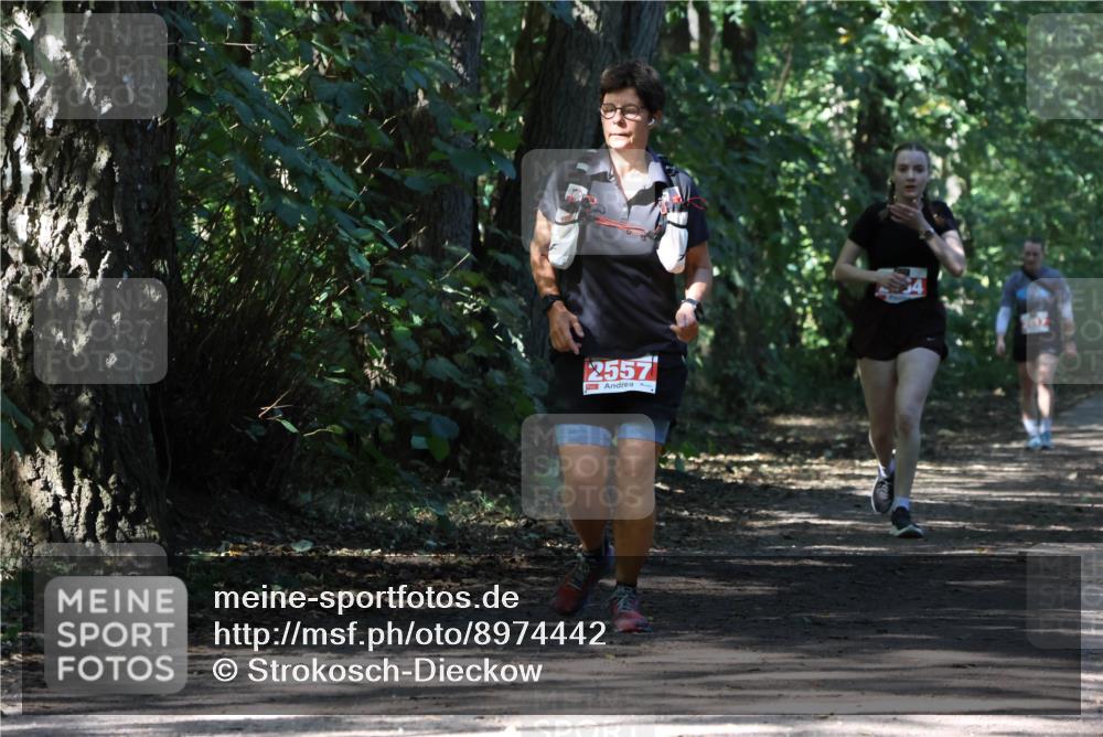 28.09.2025 - 33. Volkslauf durch das schöne Alstertal Strokosch-Dieckow http://msf.ph/oto/8974442 28.09.2025 12:44:41 Laufen 2557 meine-sportfotos.de
