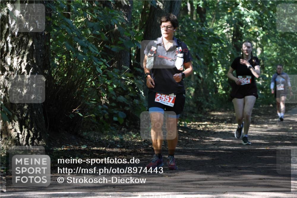 28.09.2025 - 33. Volkslauf durch das schöne Alstertal Strokosch-Dieckow http://msf.ph/oto/8974443 28.09.2025 12:44:41 Laufen 2557, 2564 meine-sportfotos.de