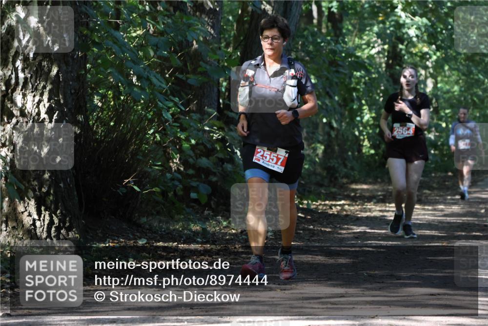 28.09.2025 - 33. Volkslauf durch das schöne Alstertal Strokosch-Dieckow http://msf.ph/oto/8974444 28.09.2025 12:44:41 Laufen 2557, 2564 meine-sportfotos.de