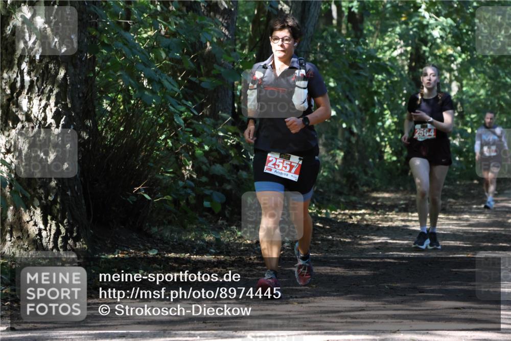 28.09.2025 - 33. Volkslauf durch das schöne Alstertal Strokosch-Dieckow http://msf.ph/oto/8974445 28.09.2025 12:44:41 Laufen 2557, 2564 meine-sportfotos.de