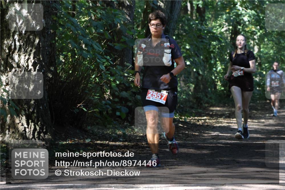 28.09.2025 - 33. Volkslauf durch das schöne Alstertal Strokosch-Dieckow http://msf.ph/oto/8974446 28.09.2025 12:44:41 Laufen 2557 meine-sportfotos.de