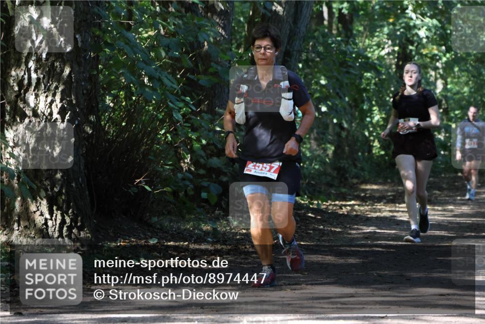 28.09.2025 - 33. Volkslauf durch das schöne Alstertal Strokosch-Dieckow http://msf.ph/oto/8974447 28.09.2025 12:44:41 Laufen 2557 meine-sportfotos.de