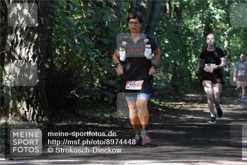 28.09.2025 - 33. Volkslauf durch das schöne Alstertal Strokosch-Dieckow http://msf.ph/oto/8974448 28.09.2025 12:44:41 Laufen 255 meine-sportfotos.de