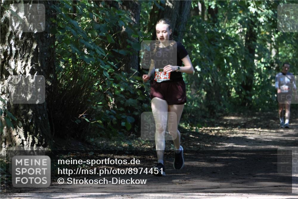 28.09.2025 - 33. Volkslauf durch das schöne Alstertal Strokosch-Dieckow http://msf.ph/oto/8974451 28.09.2025 12:44:44 Laufen 2564 meine-sportfotos.de