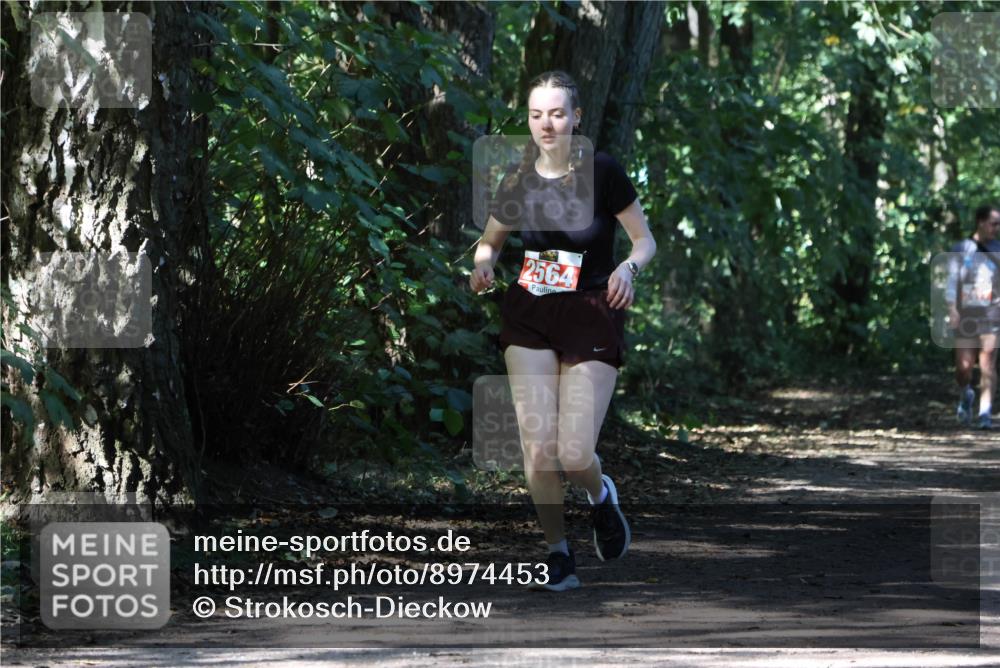 28.09.2025 - 33. Volkslauf durch das schöne Alstertal Strokosch-Dieckow http://msf.ph/oto/8974453 28.09.2025 12:44:44 Laufen 2564 meine-sportfotos.de