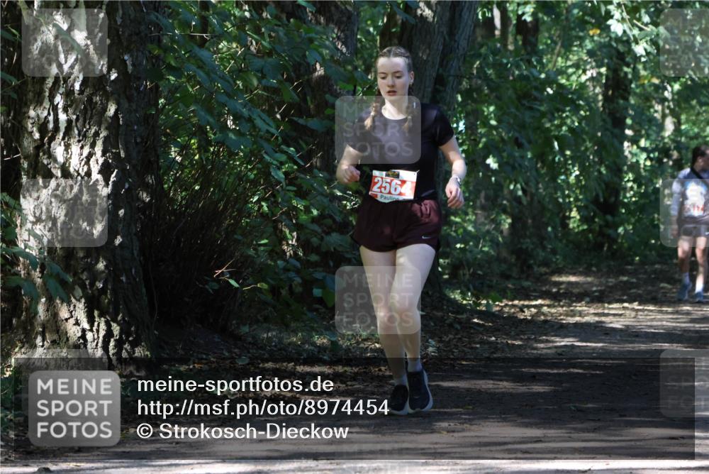 28.09.2025 - 33. Volkslauf durch das schöne Alstertal Strokosch-Dieckow http://msf.ph/oto/8974454 28.09.2025 12:44:44 Laufen 2564 meine-sportfotos.de