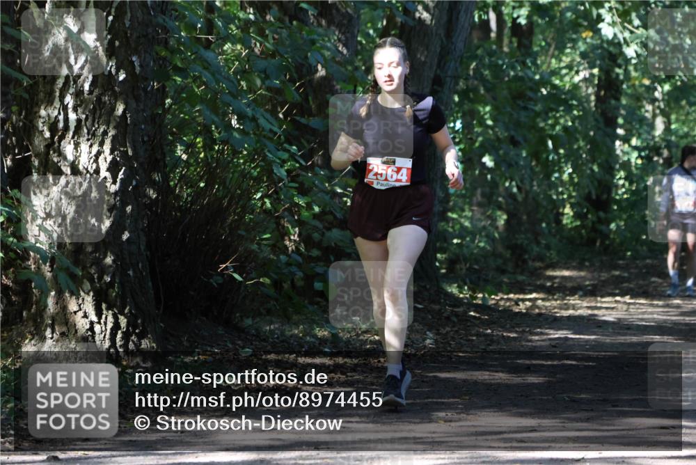 28.09.2025 - 33. Volkslauf durch das schöne Alstertal Strokosch-Dieckow http://msf.ph/oto/8974455 28.09.2025 12:44:44 Laufen 2564 meine-sportfotos.de