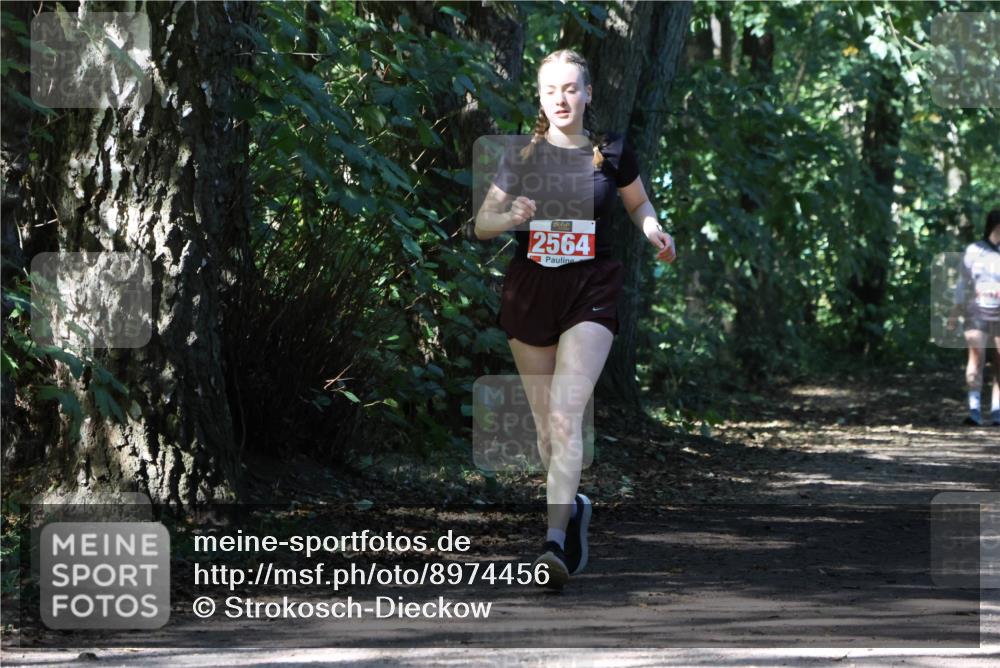 28.09.2025 - 33. Volkslauf durch das schöne Alstertal Strokosch-Dieckow http://msf.ph/oto/8974456 28.09.2025 12:44:44 Laufen 2564 meine-sportfotos.de