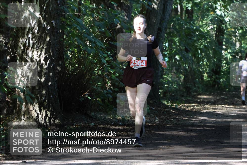 28.09.2025 - 33. Volkslauf durch das schöne Alstertal Strokosch-Dieckow http://msf.ph/oto/8974457 28.09.2025 12:44:44 Laufen 2564 meine-sportfotos.de