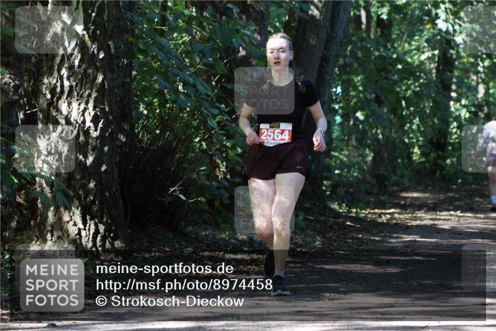 28.09.2025 - 33. Volkslauf durch das schöne Alstertal Strokosch-Dieckow http://msf.ph/oto/8974458 28.09.2025 12:44:44 Laufen 2564 meine-sportfotos.de