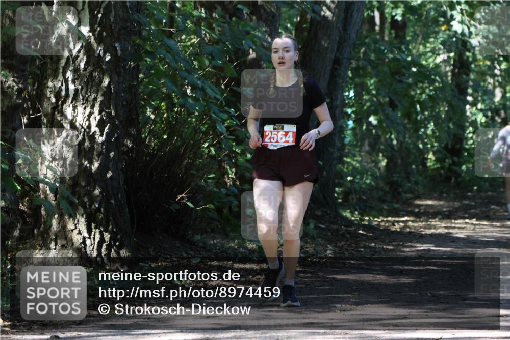 28.09.2025 - 33. Volkslauf durch das schöne Alstertal Strokosch-Dieckow http://msf.ph/oto/8974459 28.09.2025 12:44:44 Laufen 2564 meine-sportfotos.de