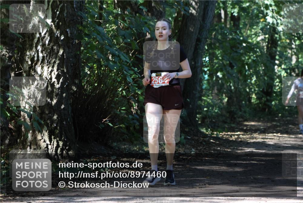 28.09.2025 - 33. Volkslauf durch das schöne Alstertal Strokosch-Dieckow http://msf.ph/oto/8974460 28.09.2025 12:44:44 Laufen 2564 meine-sportfotos.de