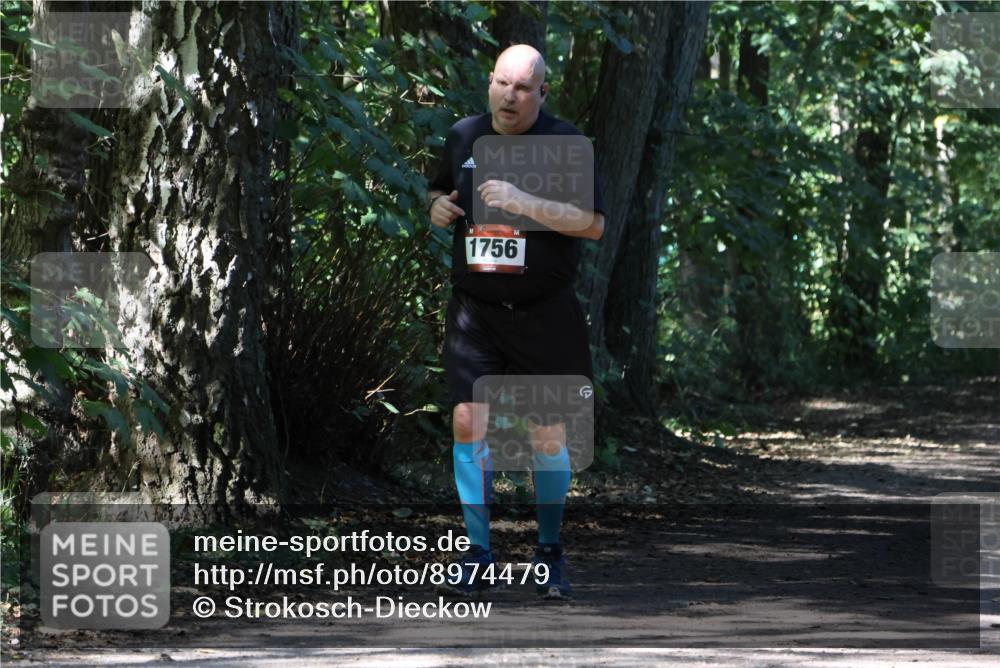 28.09.2025 - 33. Volkslauf durch das schöne Alstertal Strokosch-Dieckow http://msf.ph/oto/8974479 28.09.2025 12:46:06 Laufen 1756 meine-sportfotos.de