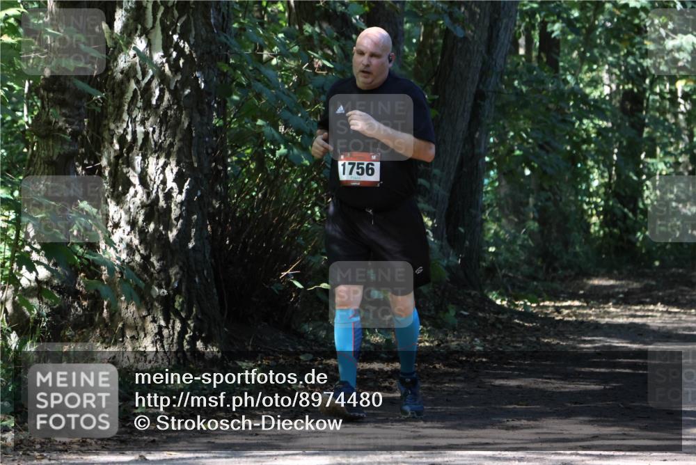 28.09.2025 - 33. Volkslauf durch das schöne Alstertal Strokosch-Dieckow http://msf.ph/oto/8974480 28.09.2025 12:46:06 Laufen 1756 meine-sportfotos.de