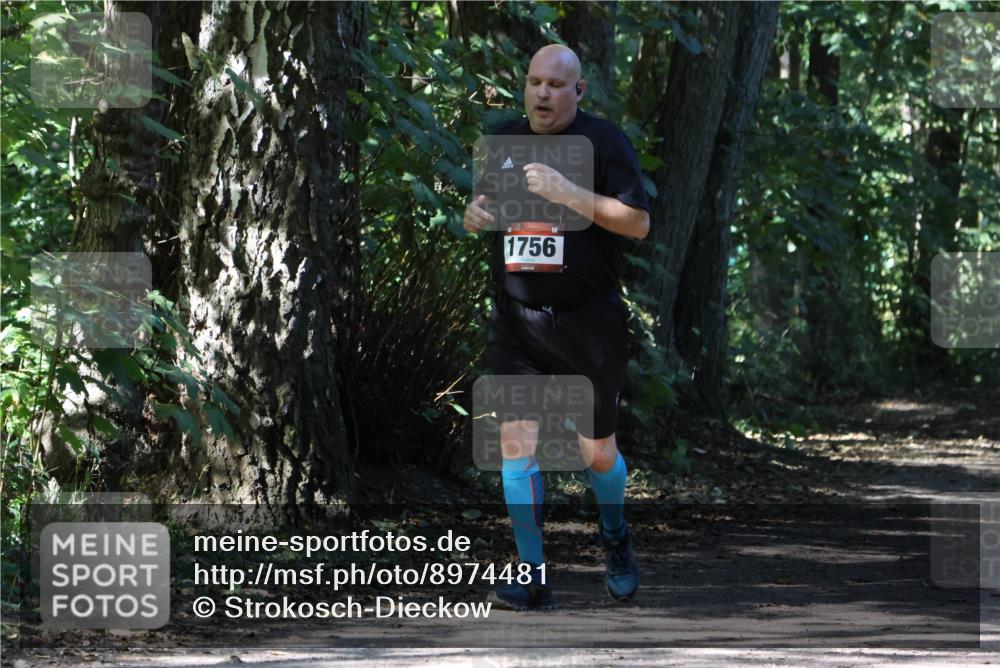 28.09.2025 - 33. Volkslauf durch das schöne Alstertal Strokosch-Dieckow http://msf.ph/oto/8974481 28.09.2025 12:46:06 Laufen 1756 meine-sportfotos.de