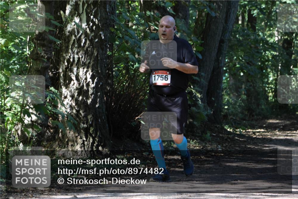 28.09.2025 - 33. Volkslauf durch das schöne Alstertal Strokosch-Dieckow http://msf.ph/oto/8974482 28.09.2025 12:46:06 Laufen 1756 meine-sportfotos.de