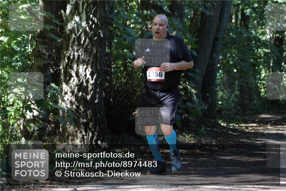 28.09.2025 - 33. Volkslauf durch das schöne Alstertal Strokosch-Dieckow http://msf.ph/oto/8974483 28.09.2025 12:46:06 Laufen 1756 meine-sportfotos.de