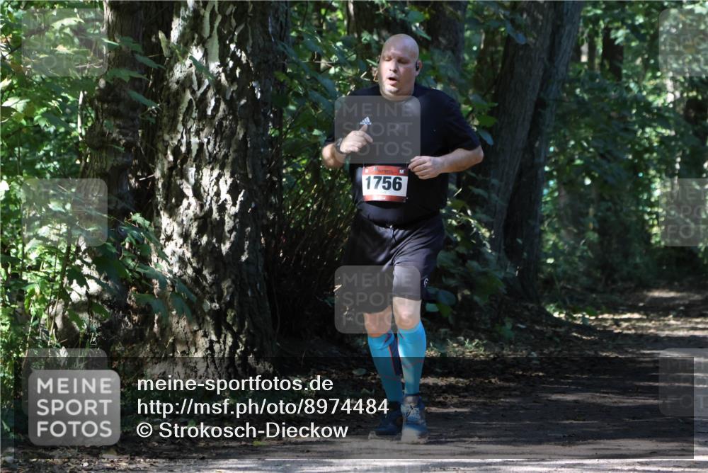 28.09.2025 - 33. Volkslauf durch das schöne Alstertal Strokosch-Dieckow http://msf.ph/oto/8974484 28.09.2025 12:46:06 Laufen 1756 meine-sportfotos.de