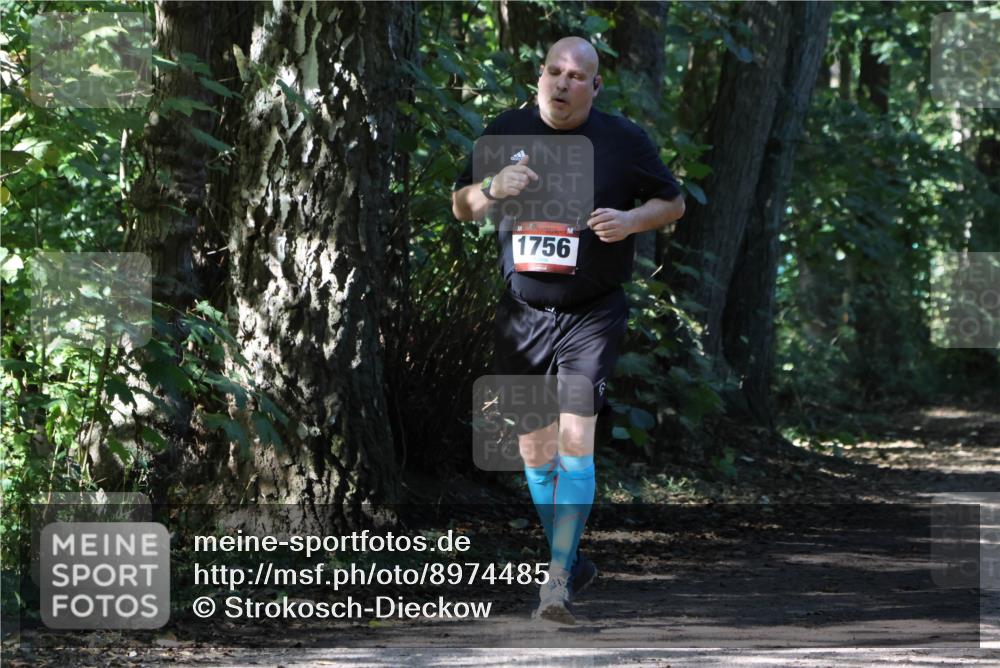 28.09.2025 - 33. Volkslauf durch das schöne Alstertal Strokosch-Dieckow http://msf.ph/oto/8974485 28.09.2025 12:46:06 Laufen 1756 meine-sportfotos.de