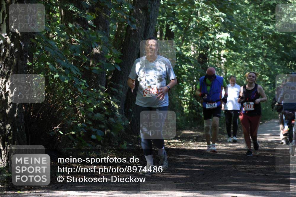 28.09.2025 - 33. Volkslauf durch das schöne Alstertal Strokosch-Dieckow http://msf.ph/oto/8974486 28.09.2025 12:46:22 Laufen 2650, 1761, 2410 meine-sportfotos.de