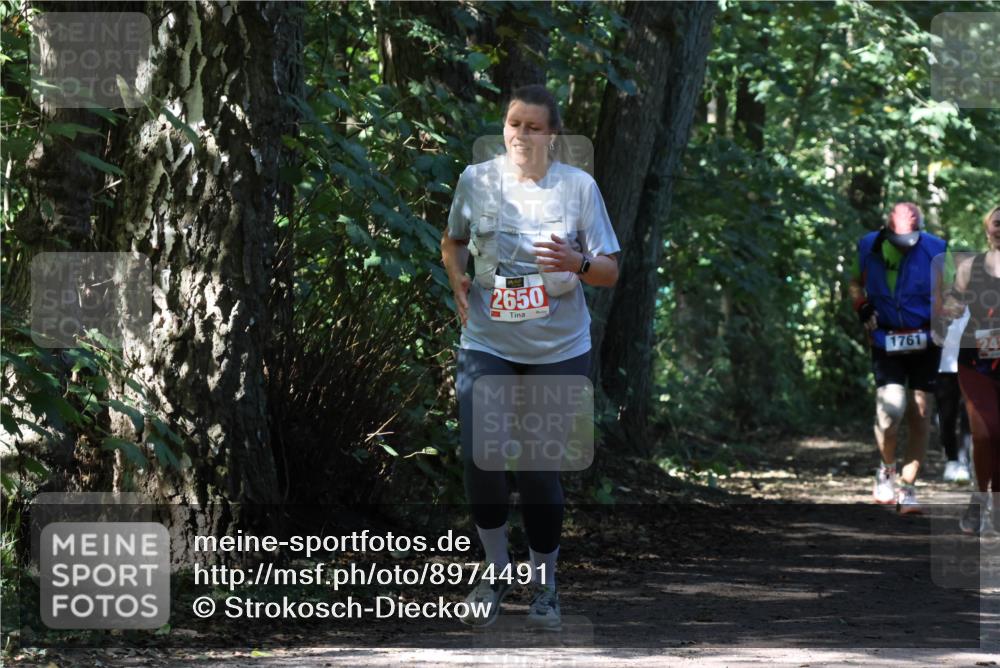 28.09.2025 - 33. Volkslauf durch das schöne Alstertal Strokosch-Dieckow http://msf.ph/oto/8974491 28.09.2025 12:46:24 Laufen 2650, 1761, 24 meine-sportfotos.de