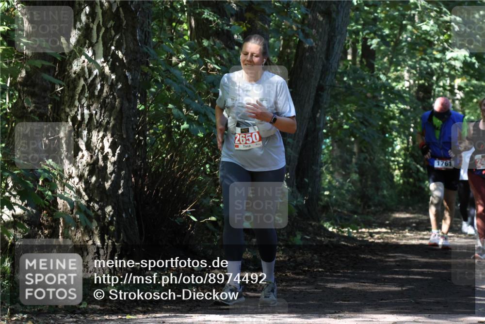 28.09.2025 - 33. Volkslauf durch das schöne Alstertal Strokosch-Dieckow http://msf.ph/oto/8974492 28.09.2025 12:46:24 Laufen 2650, 1761, 2 meine-sportfotos.de