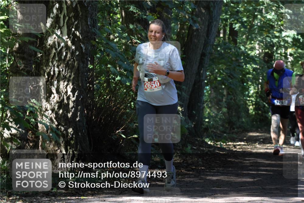 28.09.2025 - 33. Volkslauf durch das schöne Alstertal Strokosch-Dieckow http://msf.ph/oto/8974493 28.09.2025 12:46:24 Laufen 2650, 1761 meine-sportfotos.de