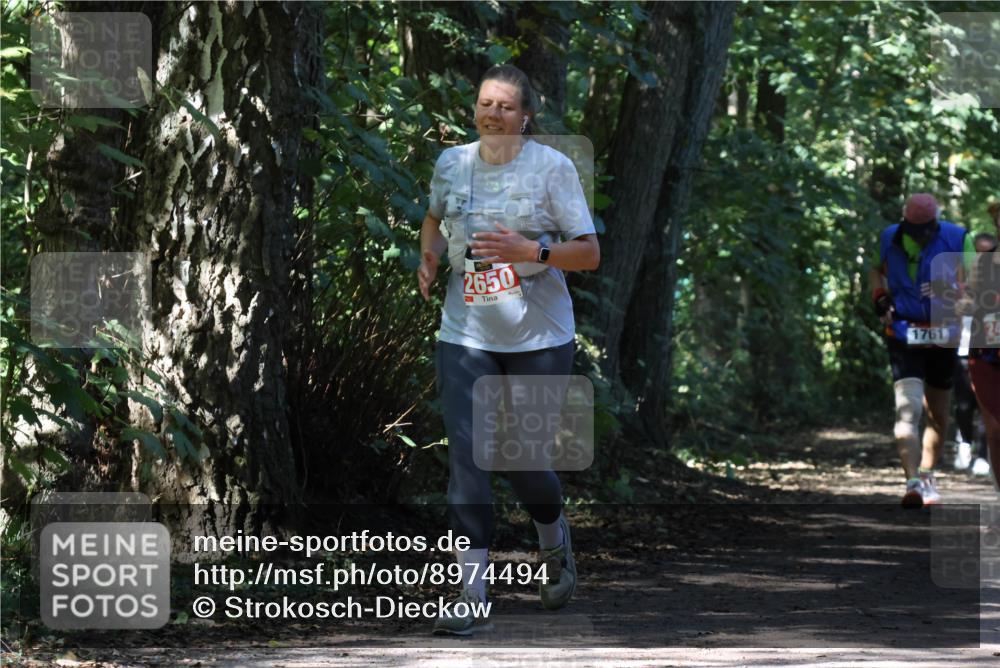 28.09.2025 - 33. Volkslauf durch das schöne Alstertal Strokosch-Dieckow http://msf.ph/oto/8974494 28.09.2025 12:46:24 Laufen 2650, 1761 meine-sportfotos.de