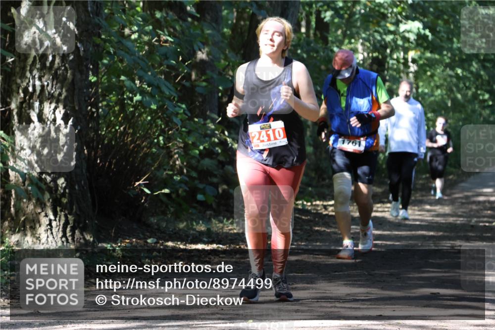 28.09.2025 - 33. Volkslauf durch das schöne Alstertal Strokosch-Dieckow http://msf.ph/oto/8974499 28.09.2025 12:46:28 Laufen 2410 meine-sportfotos.de