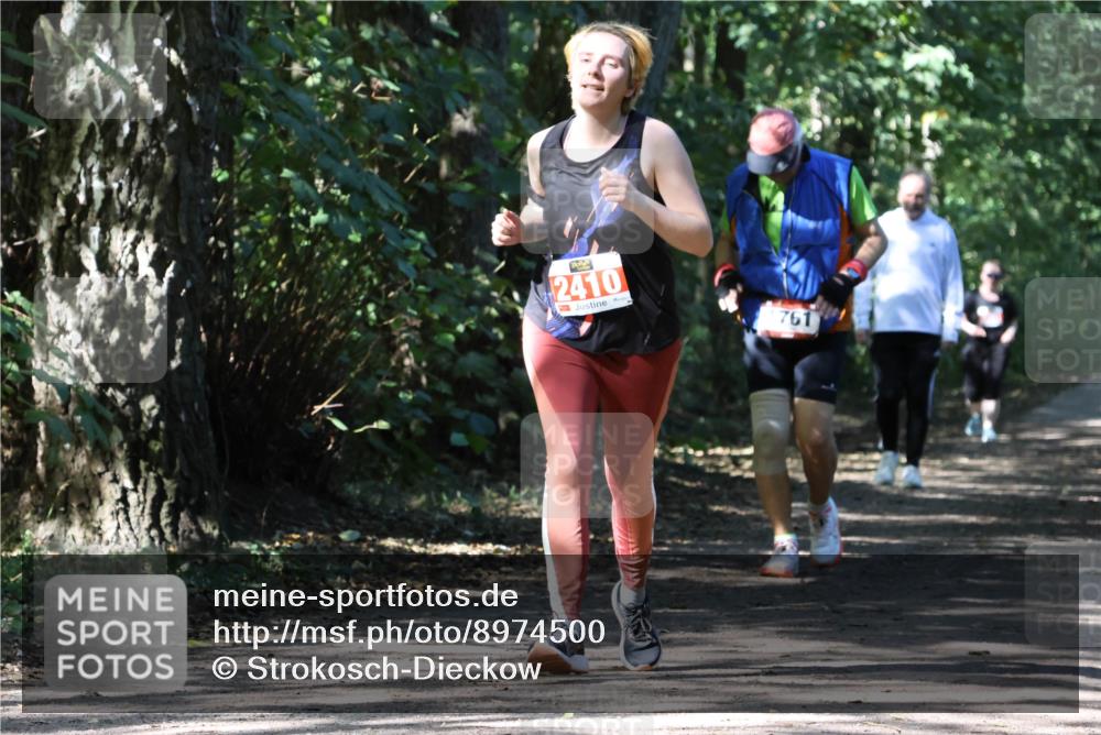 28.09.2025 - 33. Volkslauf durch das schöne Alstertal Strokosch-Dieckow http://msf.ph/oto/8974500 28.09.2025 12:46:28 Laufen 2410, 761 meine-sportfotos.de