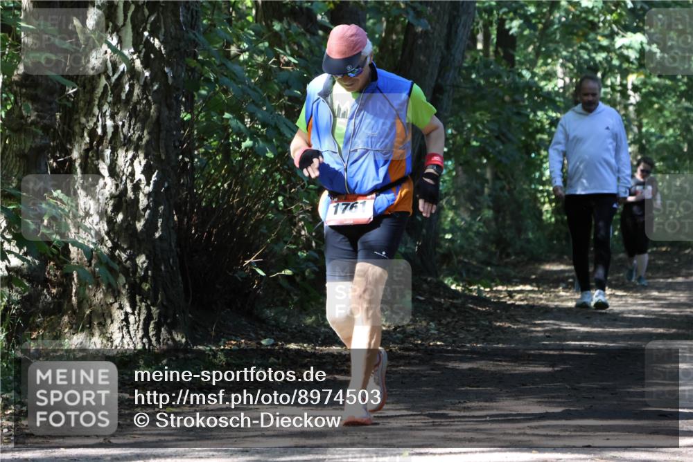 28.09.2025 - 33. Volkslauf durch das schöne Alstertal Strokosch-Dieckow http://msf.ph/oto/8974503 28.09.2025 12:46:31 Laufen 1761 meine-sportfotos.de