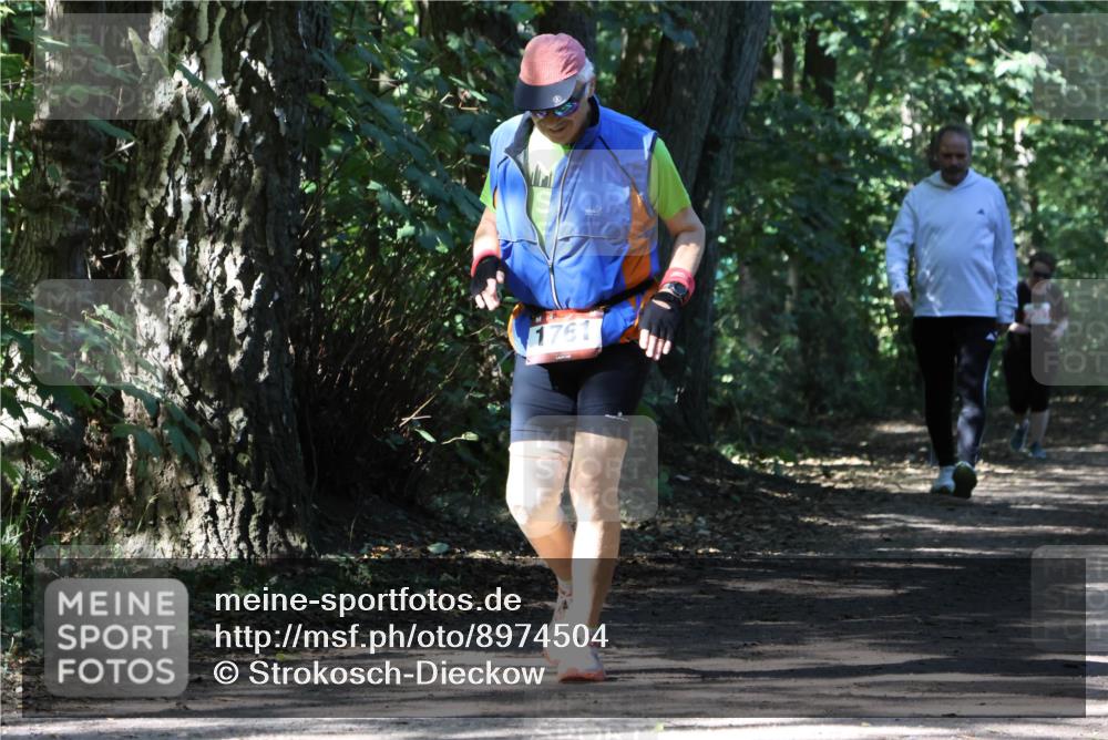 28.09.2025 - 33. Volkslauf durch das schöne Alstertal Strokosch-Dieckow http://msf.ph/oto/8974504 28.09.2025 12:46:31 Laufen 1761 meine-sportfotos.de