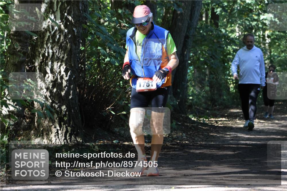 28.09.2025 - 33. Volkslauf durch das schöne Alstertal Strokosch-Dieckow http://msf.ph/oto/8974505 28.09.2025 12:46:31 Laufen 1761 meine-sportfotos.de