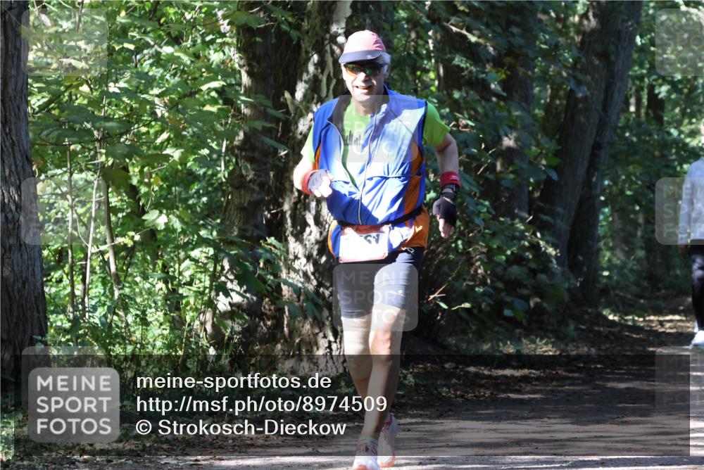 28.09.2025 - 33. Volkslauf durch das schöne Alstertal Strokosch-Dieckow http://msf.ph/oto/8974509 28.09.2025 12:46:32 Laufen  meine-sportfotos.de