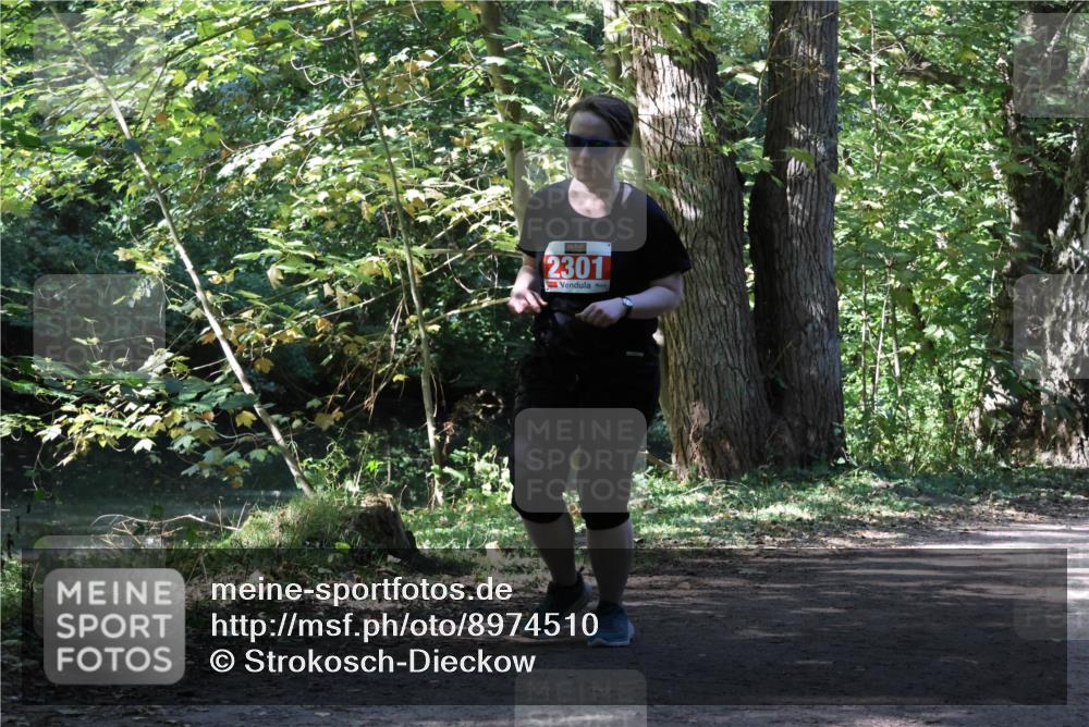 28.09.2025 - 33. Volkslauf durch das schöne Alstertal Strokosch-Dieckow http://msf.ph/oto/8974510 28.09.2025 12:46:46 Laufen 2301 meine-sportfotos.de