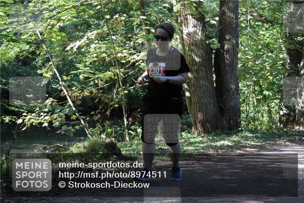 28.09.2025 - 33. Volkslauf durch das schöne Alstertal Strokosch-Dieckow http://msf.ph/oto/8974511 28.09.2025 12:46:47 Laufen 2301 meine-sportfotos.de