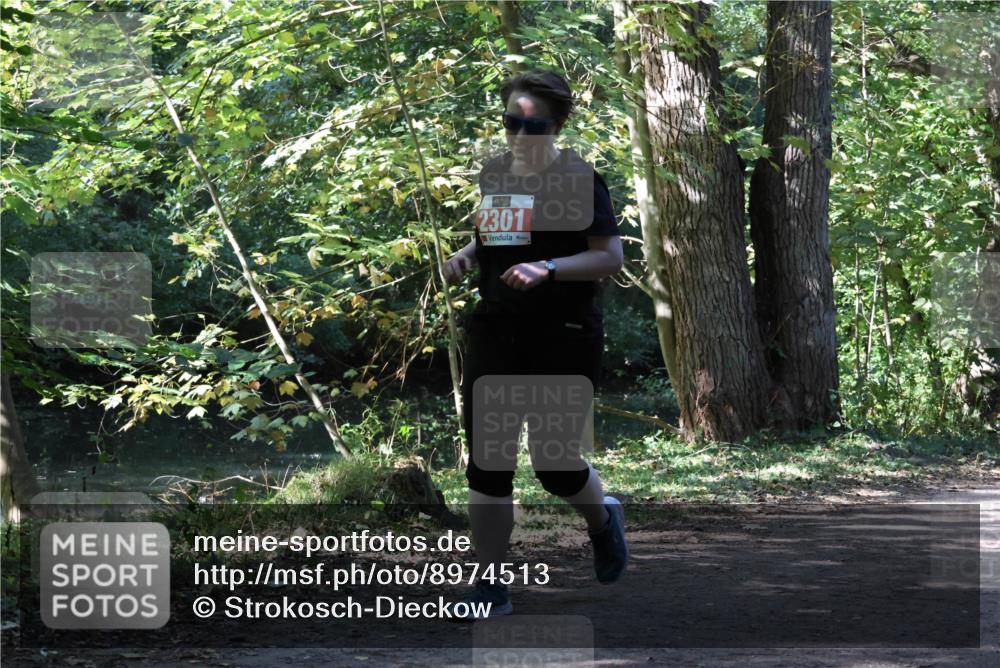 28.09.2025 - 33. Volkslauf durch das schöne Alstertal Strokosch-Dieckow http://msf.ph/oto/8974513 28.09.2025 12:46:47 Laufen 2301 meine-sportfotos.de