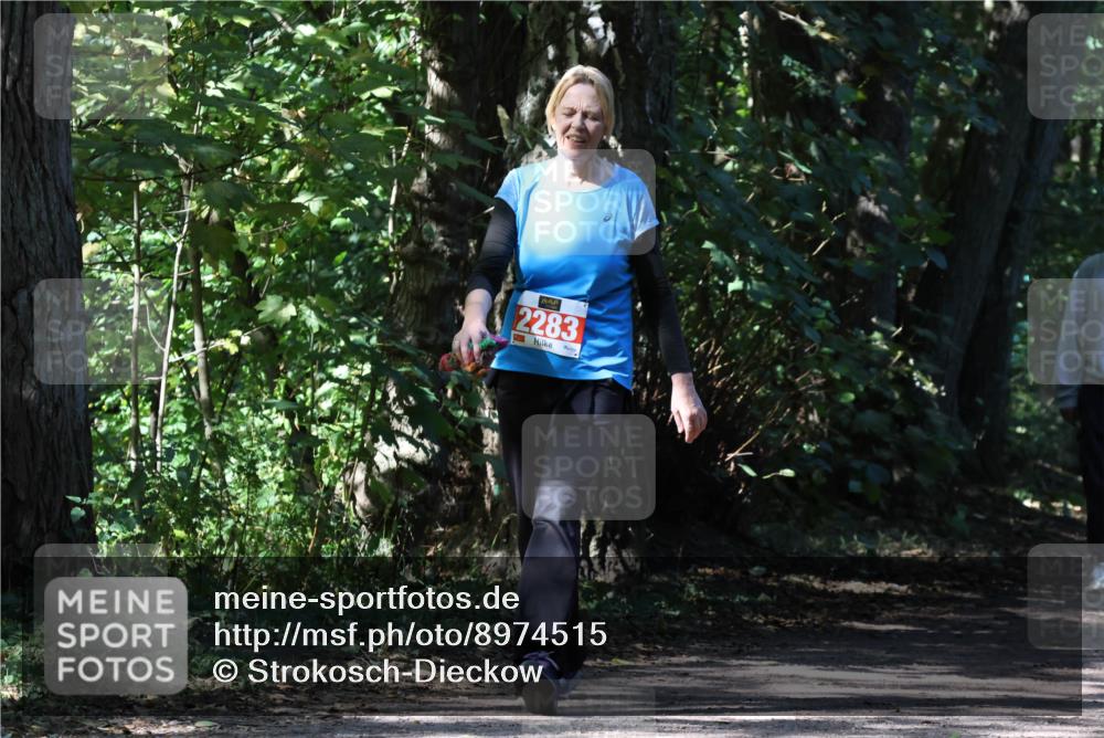 28.09.2025 - 33. Volkslauf durch das schöne Alstertal Strokosch-Dieckow http://msf.ph/oto/8974515 28.09.2025 12:47:31 Laufen 2283 meine-sportfotos.de