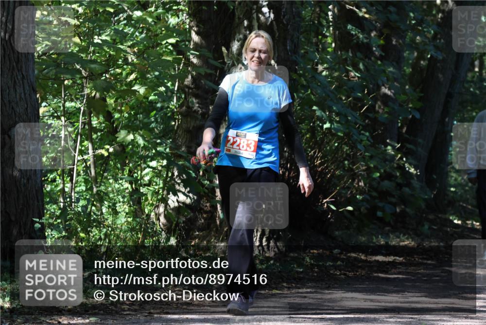 28.09.2025 - 33. Volkslauf durch das schöne Alstertal Strokosch-Dieckow http://msf.ph/oto/8974516 28.09.2025 12:47:31 Laufen 2283 meine-sportfotos.de