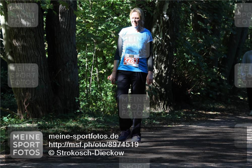 28.09.2025 - 33. Volkslauf durch das schöne Alstertal Strokosch-Dieckow http://msf.ph/oto/8974519 28.09.2025 12:47:32 Laufen 2283 meine-sportfotos.de