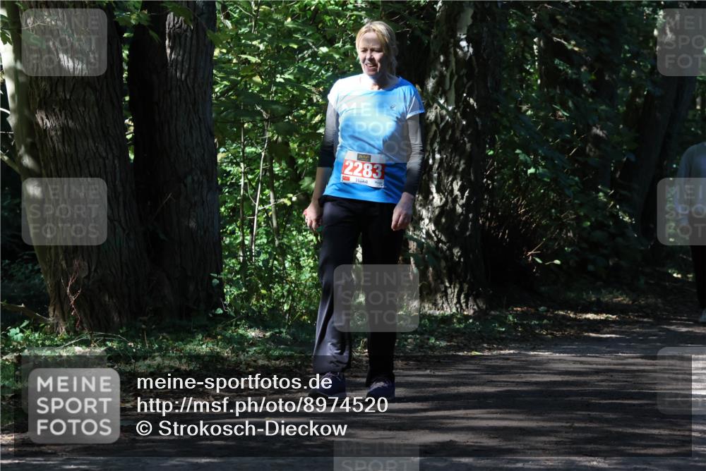 28.09.2025 - 33. Volkslauf durch das schöne Alstertal Strokosch-Dieckow http://msf.ph/oto/8974520 28.09.2025 12:47:32 Laufen 2283 meine-sportfotos.de