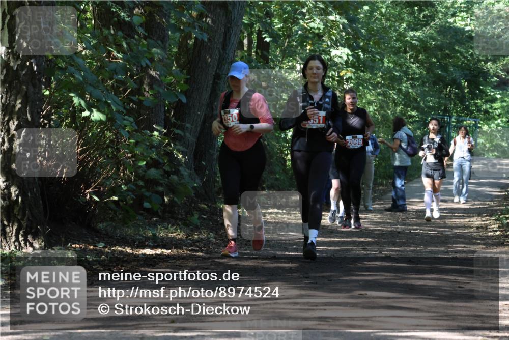 28.09.2025 - 33. Volkslauf durch das schöne Alstertal Strokosch-Dieckow http://msf.ph/oto/8974524 28.09.2025 12:48:25 Laufen 1350, 2099 meine-sportfotos.de