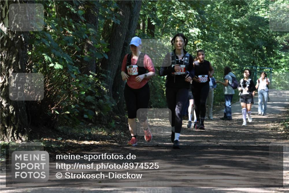 28.09.2025 - 33. Volkslauf durch das schöne Alstertal Strokosch-Dieckow http://msf.ph/oto/8974525 28.09.2025 12:48:25 Laufen 2350, 3, 2099 meine-sportfotos.de