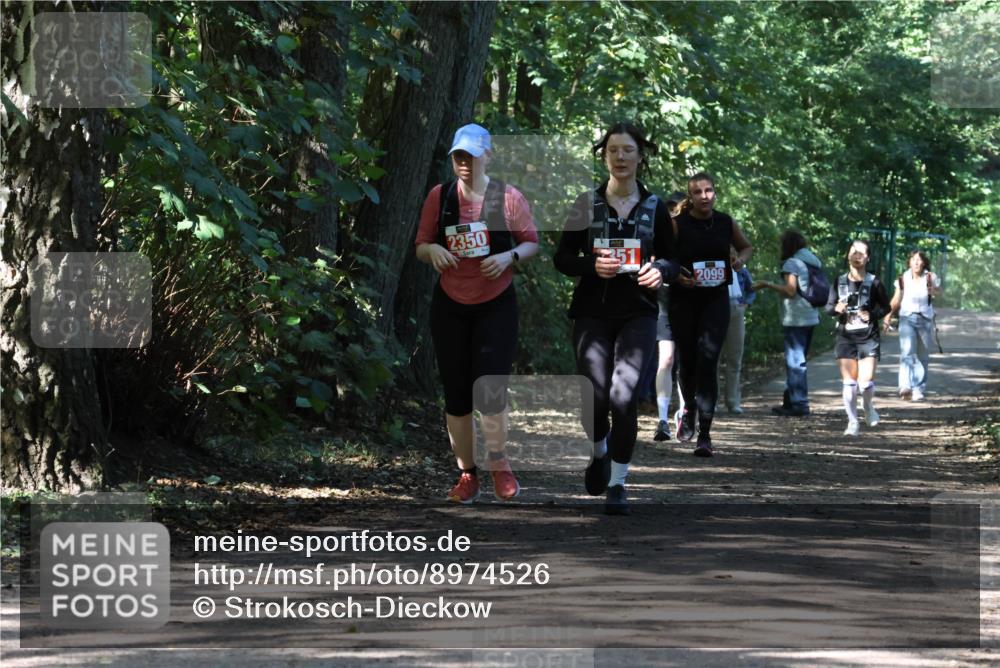 28.09.2025 - 33. Volkslauf durch das schöne Alstertal Strokosch-Dieckow http://msf.ph/oto/8974526 28.09.2025 12:48:25 Laufen 2350, 2099 meine-sportfotos.de