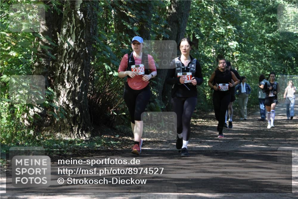 28.09.2025 - 33. Volkslauf durch das schöne Alstertal Strokosch-Dieckow http://msf.ph/oto/8974527 28.09.2025 12:48:27 Laufen 2350, 2099 meine-sportfotos.de