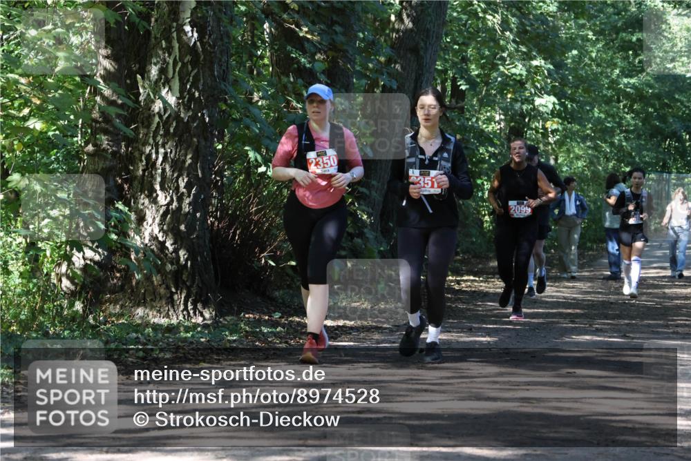 28.09.2025 - 33. Volkslauf durch das schöne Alstertal Strokosch-Dieckow http://msf.ph/oto/8974528 28.09.2025 12:48:27 Laufen 2350, 351, 2099 meine-sportfotos.de