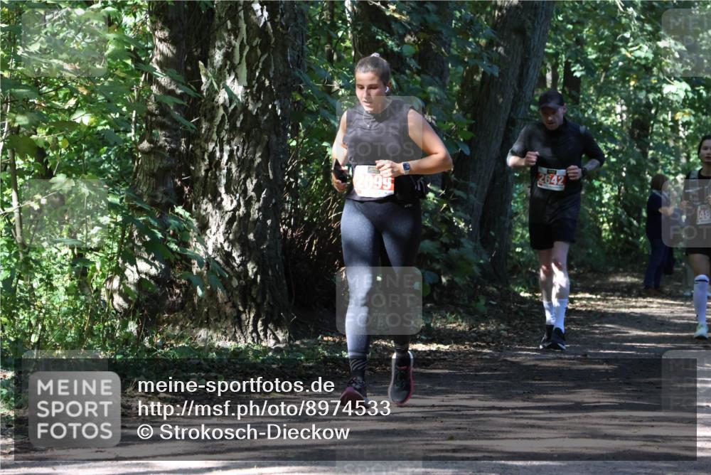 28.09.2025 - 33. Volkslauf durch das schöne Alstertal Strokosch-Dieckow http://msf.ph/oto/8974533 28.09.2025 12:48:31 Laufen 2099, 2642 meine-sportfotos.de