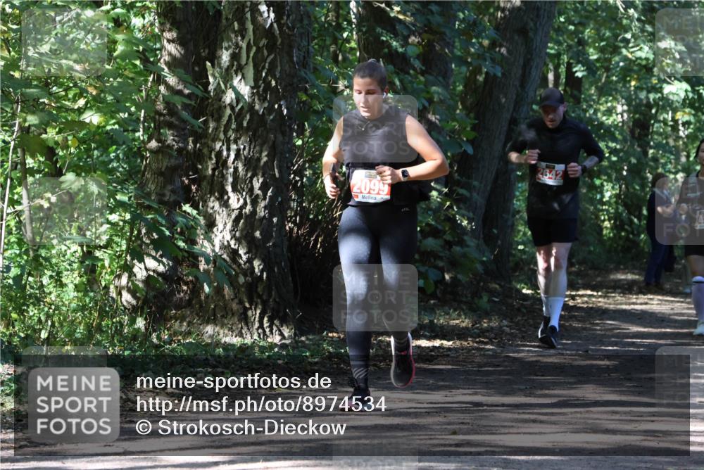 28.09.2025 - 33. Volkslauf durch das schöne Alstertal Strokosch-Dieckow http://msf.ph/oto/8974534 28.09.2025 12:48:31 Laufen 2095 meine-sportfotos.de